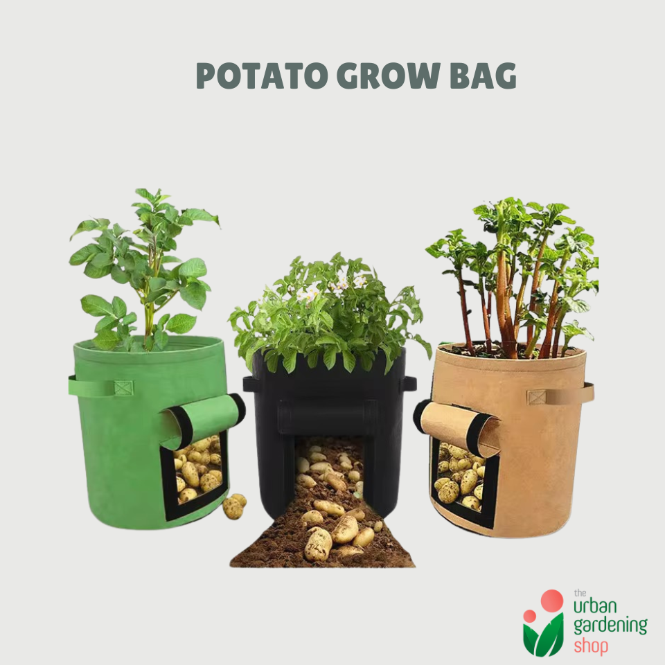 Potato Grow Bags [Ideal for Growing Root Crops like Potatoes)