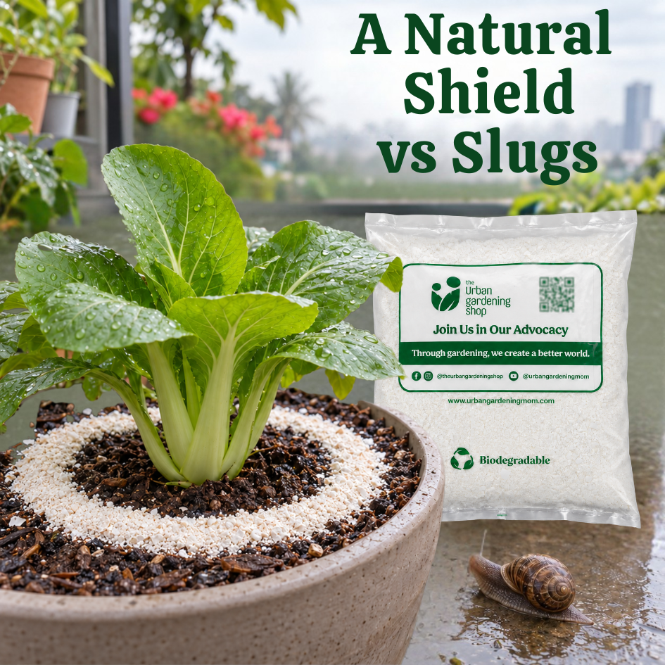 Crushed Eggshells - Calcium Rich Plant Supplement and Garden Soil Additive - Eggshell based soil amendment for home garden soil and potting mixes | The Urban Gardening Shop