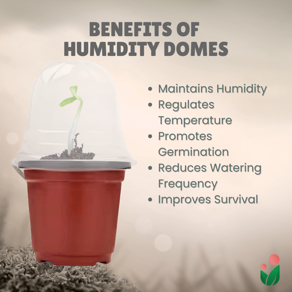 Seedling Humidity Domes with FREE Plant Starting Pots