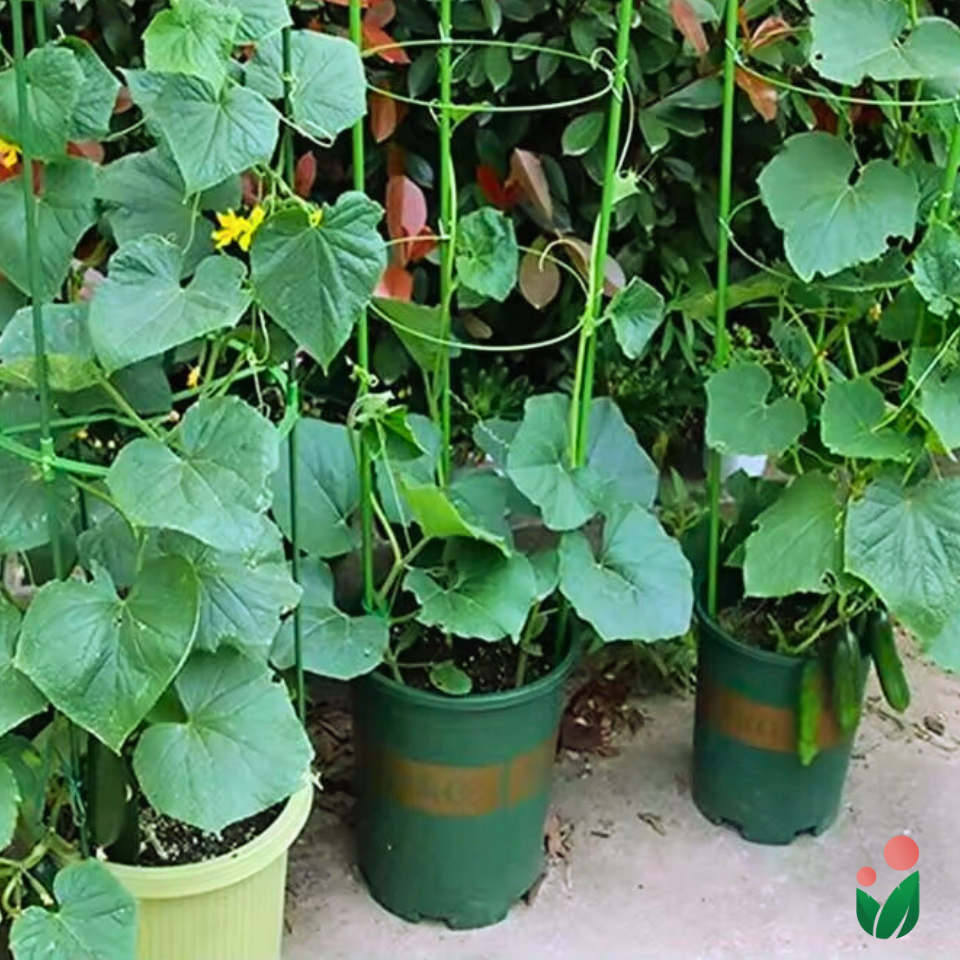3-layer Plant Cage Support (Ideal for Tomatoes and Vining Plants)