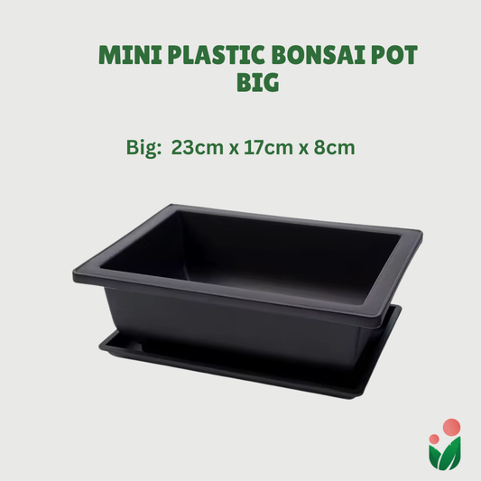 Rectangular Bonsai Pot with Catch Plate (Plastic)