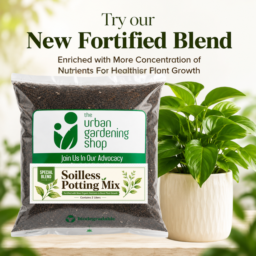 2L All-Purpose Soilless Potting Mix [Small Regular or Fortified Blend]  Packed with Neem, Coco Peat & Vermicast, Quality Grow Media for Potted Garden Plants, Better than Loam Soil or Garden Soil for Indoor & Outdoor Container Gardening