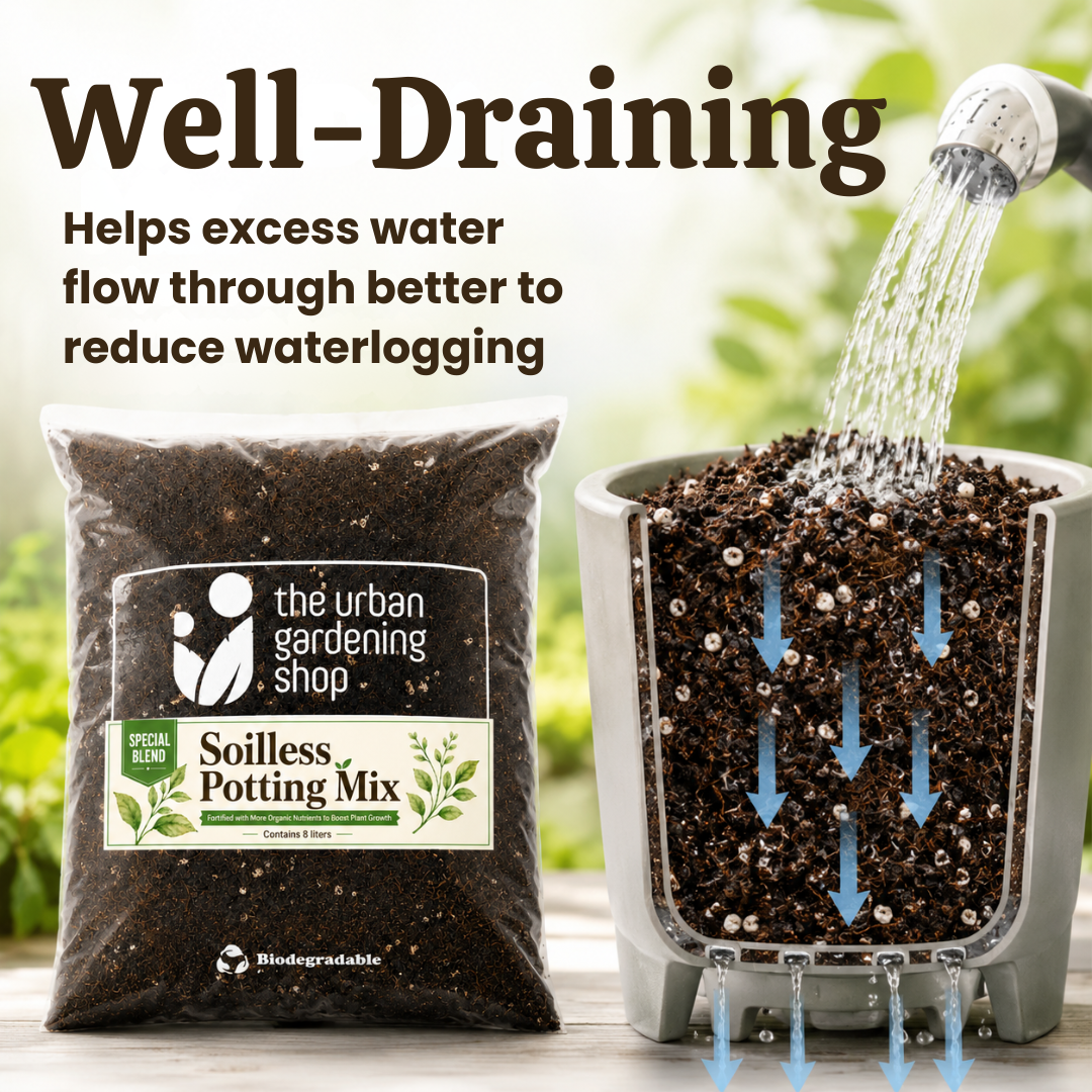 All-Purpose Soilless Potting Mix [Fortified Premium Mix]