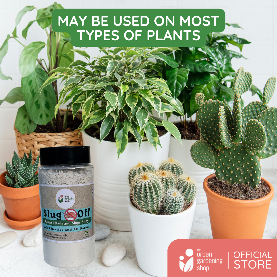 Slug Off - All-Natural and Chemical- Free Solution to Fight Garden Pests