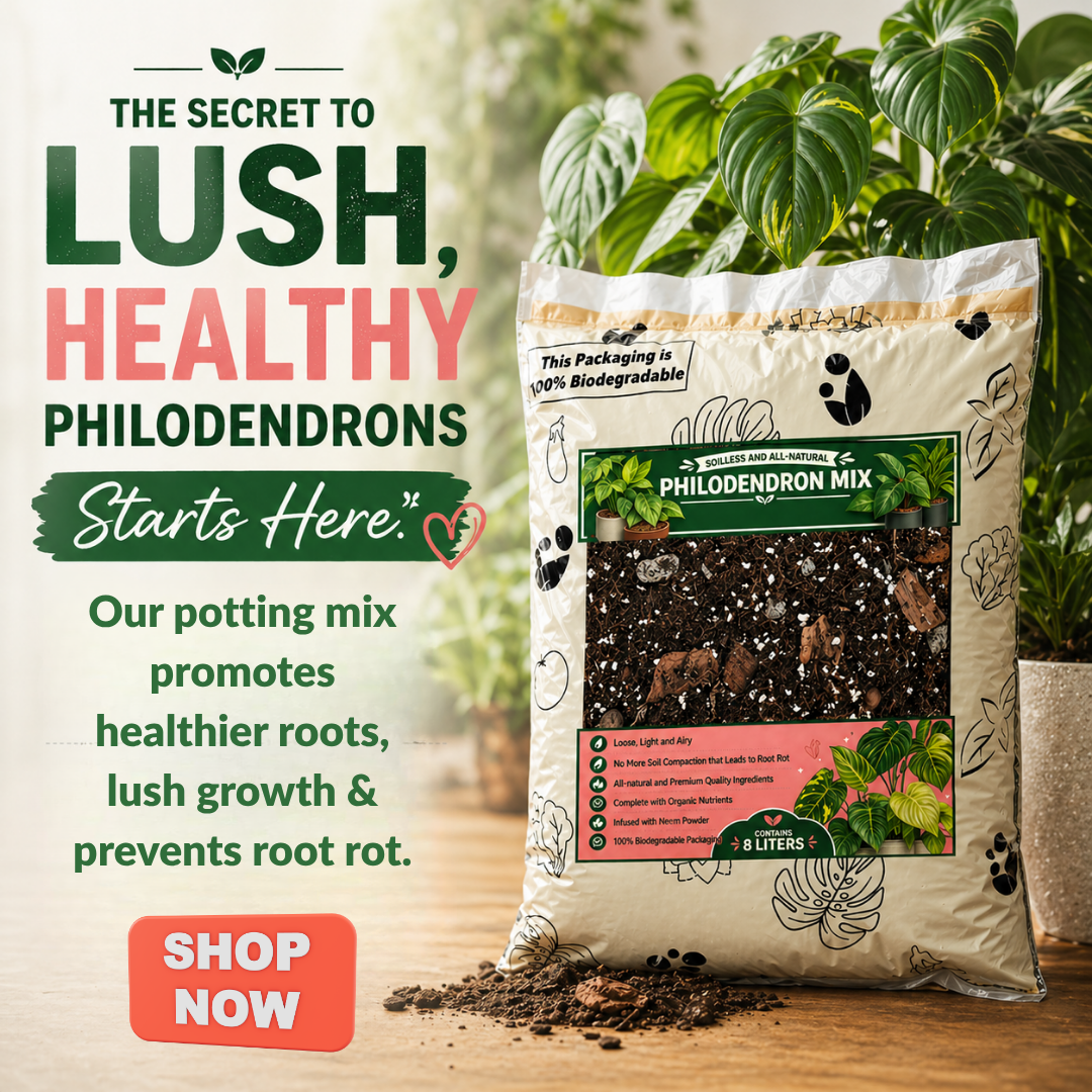 best soil mix for heartleaf philodendron 8L Philodendron Soilless Potting Mix for Houseplants
