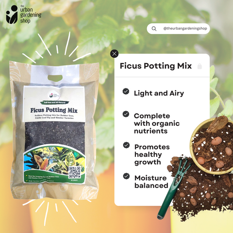 8-Liter Ficus Mix  - Soilless Potting Mix for Ficus (Rubber Plants)