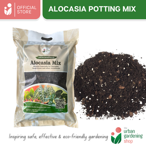 8-Liter Alocasia Mix - Soilless Potting For Alocasias and Arrowheads