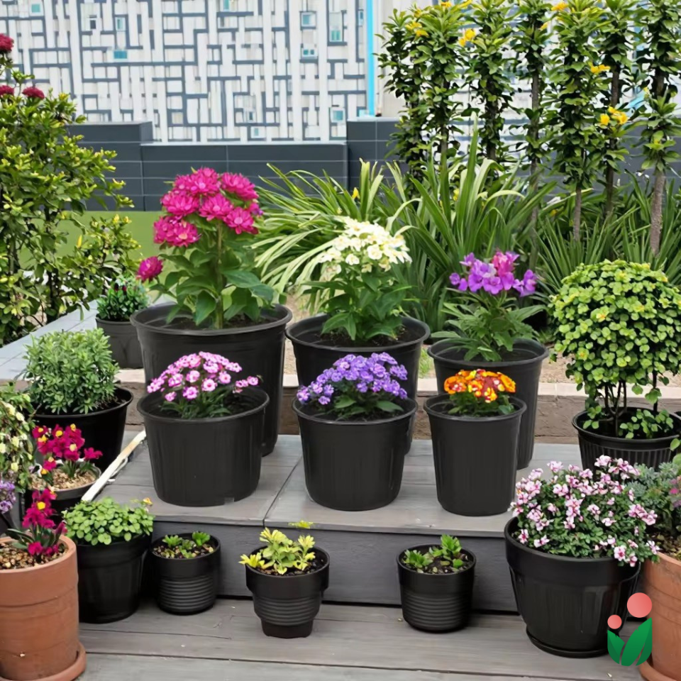 3-pcs Plastic Flower Pot (Includes 3 FREE Plant Saucers)