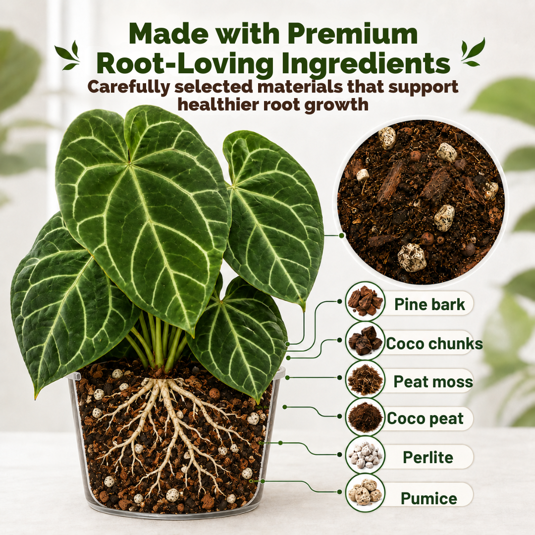 Anthurium Soilless Potting Mix 8L | Premium Airy Chunky Well Draining Growing Media with Peat Moss, Coco Chunks, Pine Bark, Perlite, Pumice, Neem and Beneficial Microbes| Soilless Media for Anthurium, Aroids & Houseplants