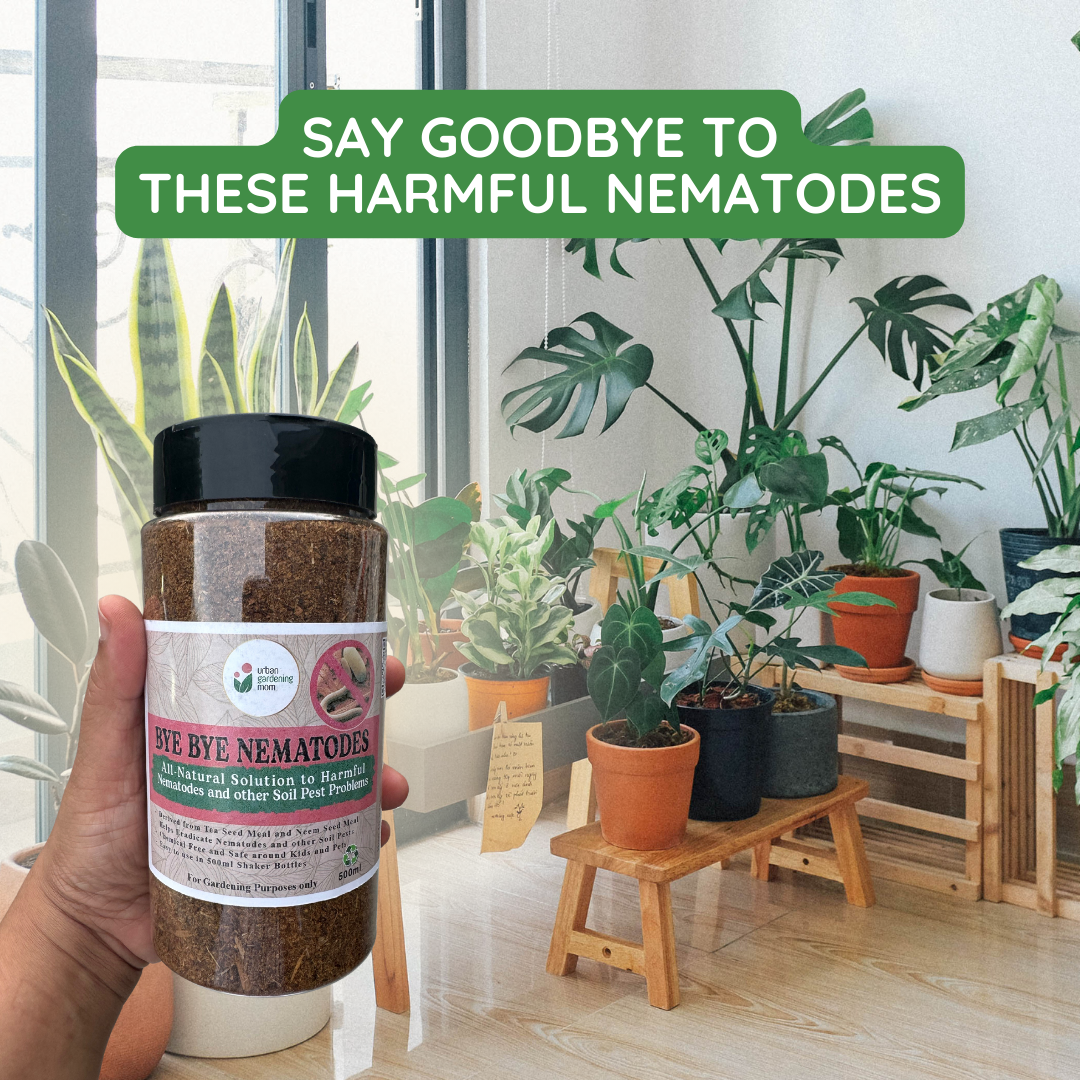 Bye Bye Nematodes - A Safe and Natural Method to Address Soil Pest Problems and Improve Soil Condition