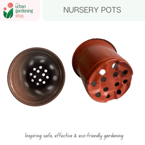Nursery Pots - Non-biodegradable and  Disposable & Not for Long Term Use