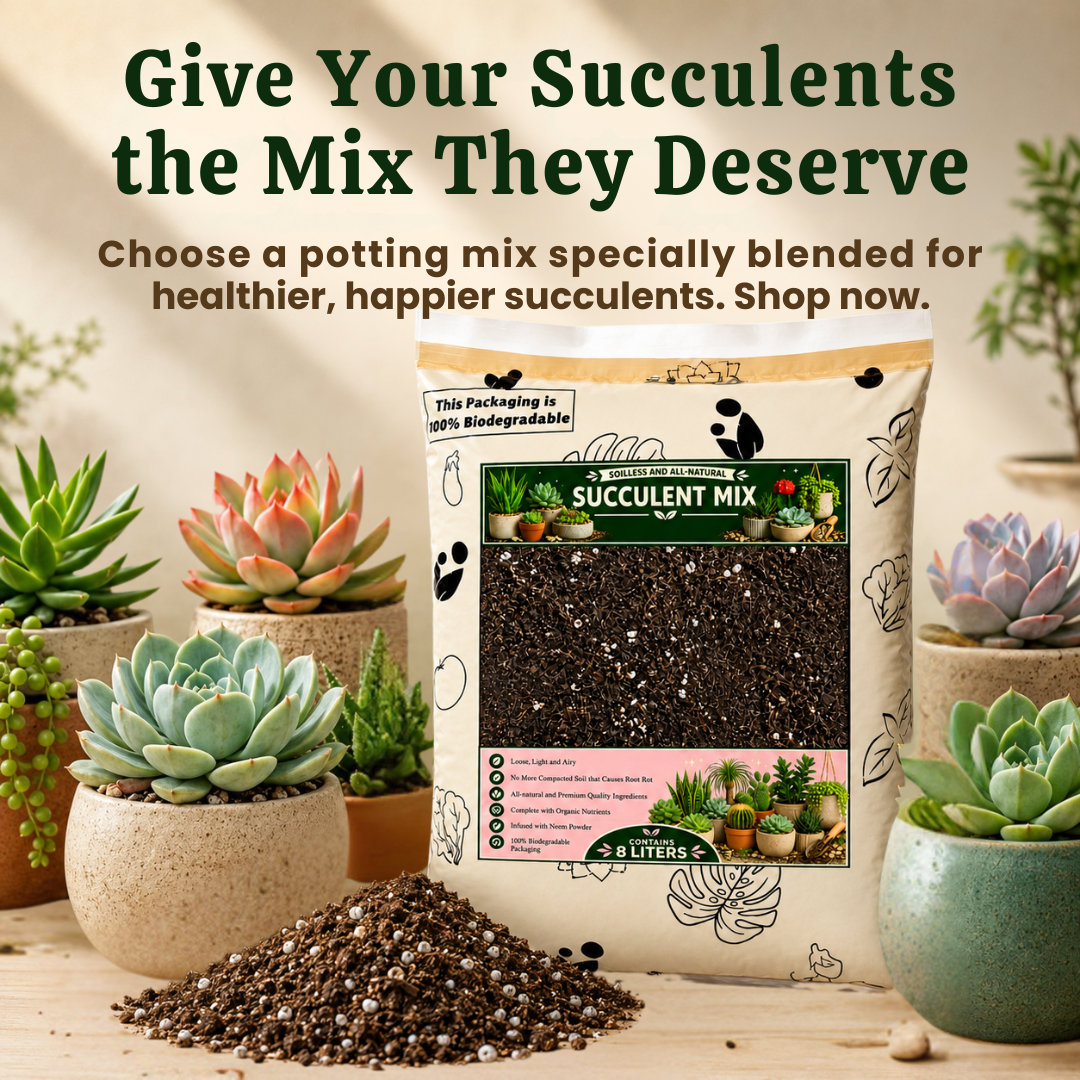 8-liter PREMIUM SUCCULENT POTTING MIX - High Quality Soilless Media for Cacti and Succulents
