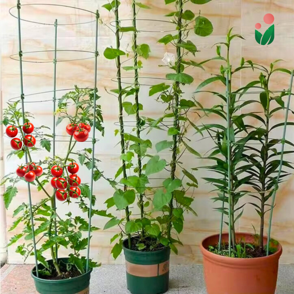 3-layer Plant Cage Support (Ideal for Tomatoes and Vining Plants)