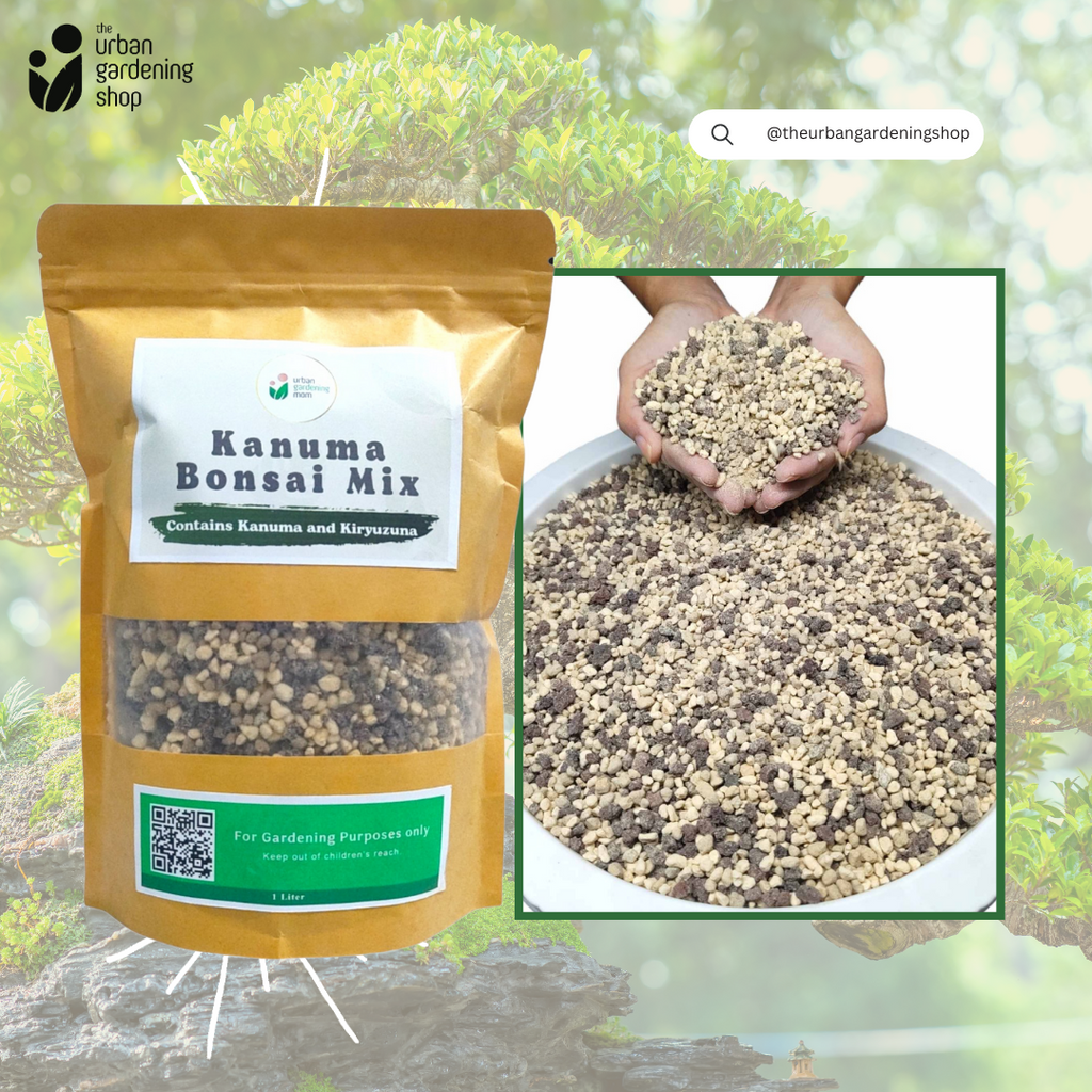 ALTEA ZEOLITE SUBSTRATO PROFESSIONALE GIAPPONESE PER BONSAI 1.6 LT - AGROBIO CONSORZIO AGRARIO ALTEA ZEOLITE SUBSTRATO PROFESSIONALE GIAPPONESE PER BONSAI 1.6 LT - AGROBIO CONSORZIO AGRARIO
