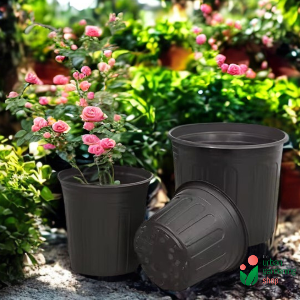 3-pcs Plastic Flower Pot (Includes 3 FREE Plant Saucers)