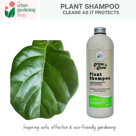2-in-1 Plant Shampoo - Cleans Your Plants as It Drives Away Pests