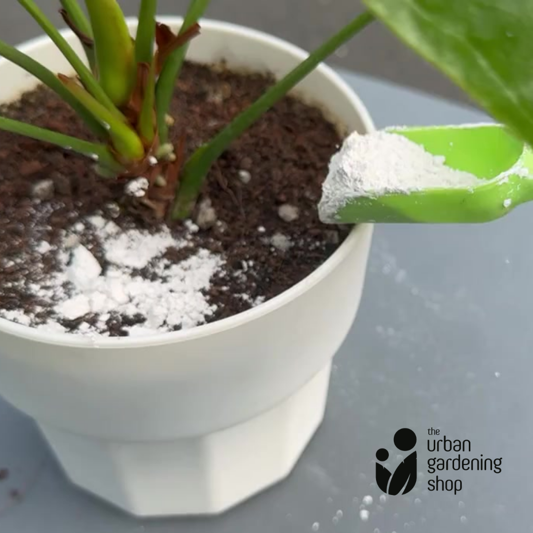 Bone Ash  - All Natural Garden Soil Additive Derived from Calcined Livestock Bones Containing a Rich Source of Calcium and Phosphorus