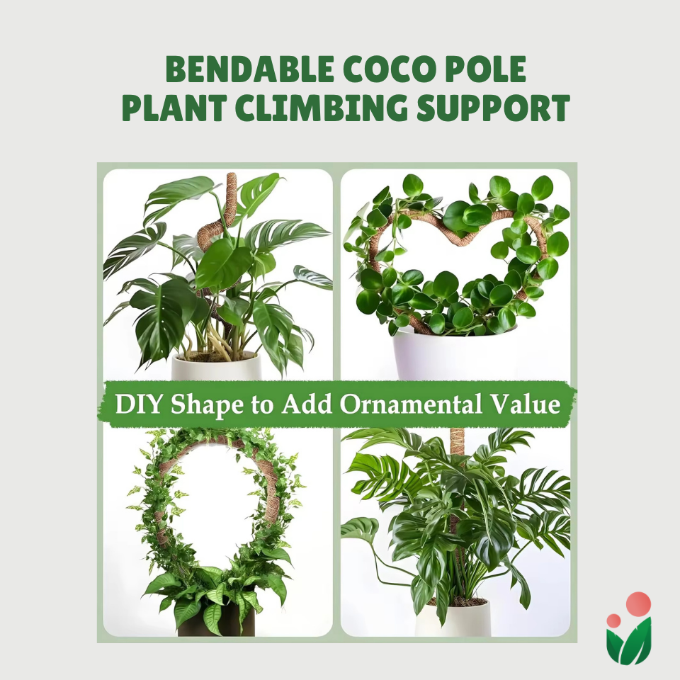 Premium 48" Bendable Coco Poles For Plant Support