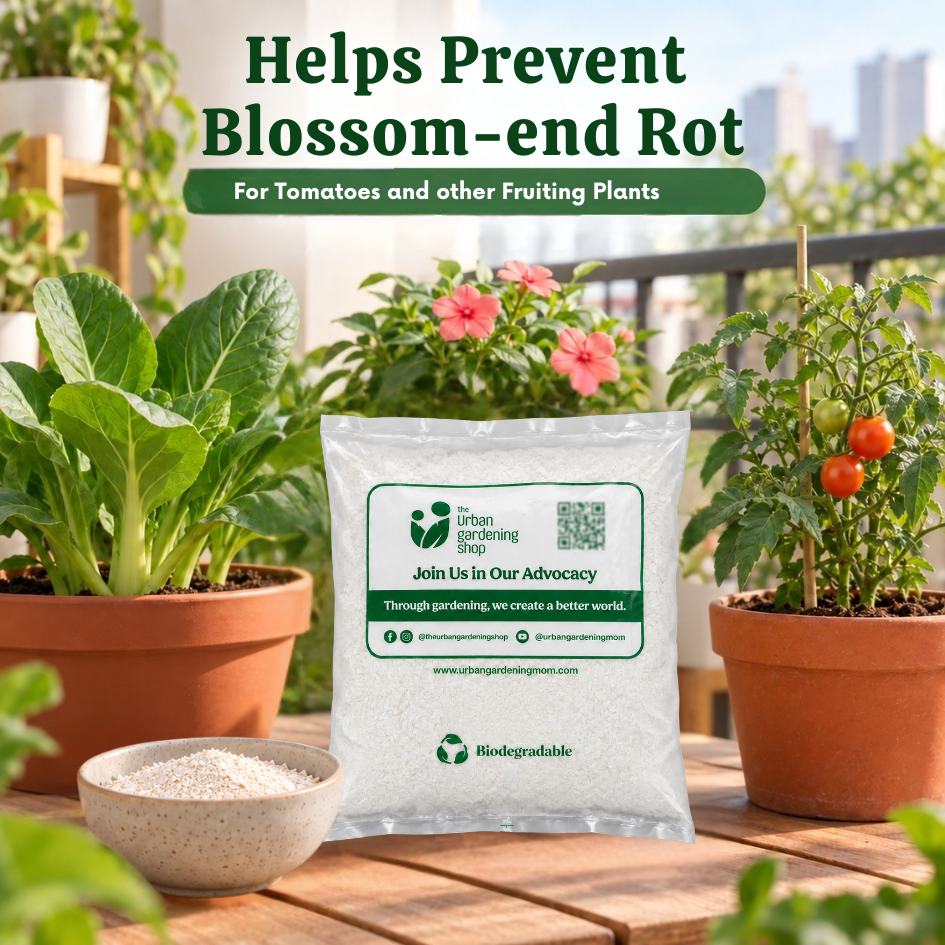 Crushed Eggshells - Calcium Rich Plant Supplement and Garden Soil Additive - Eggshell based soil amendment for home garden soil and potting mixes | The Urban Gardening Shop