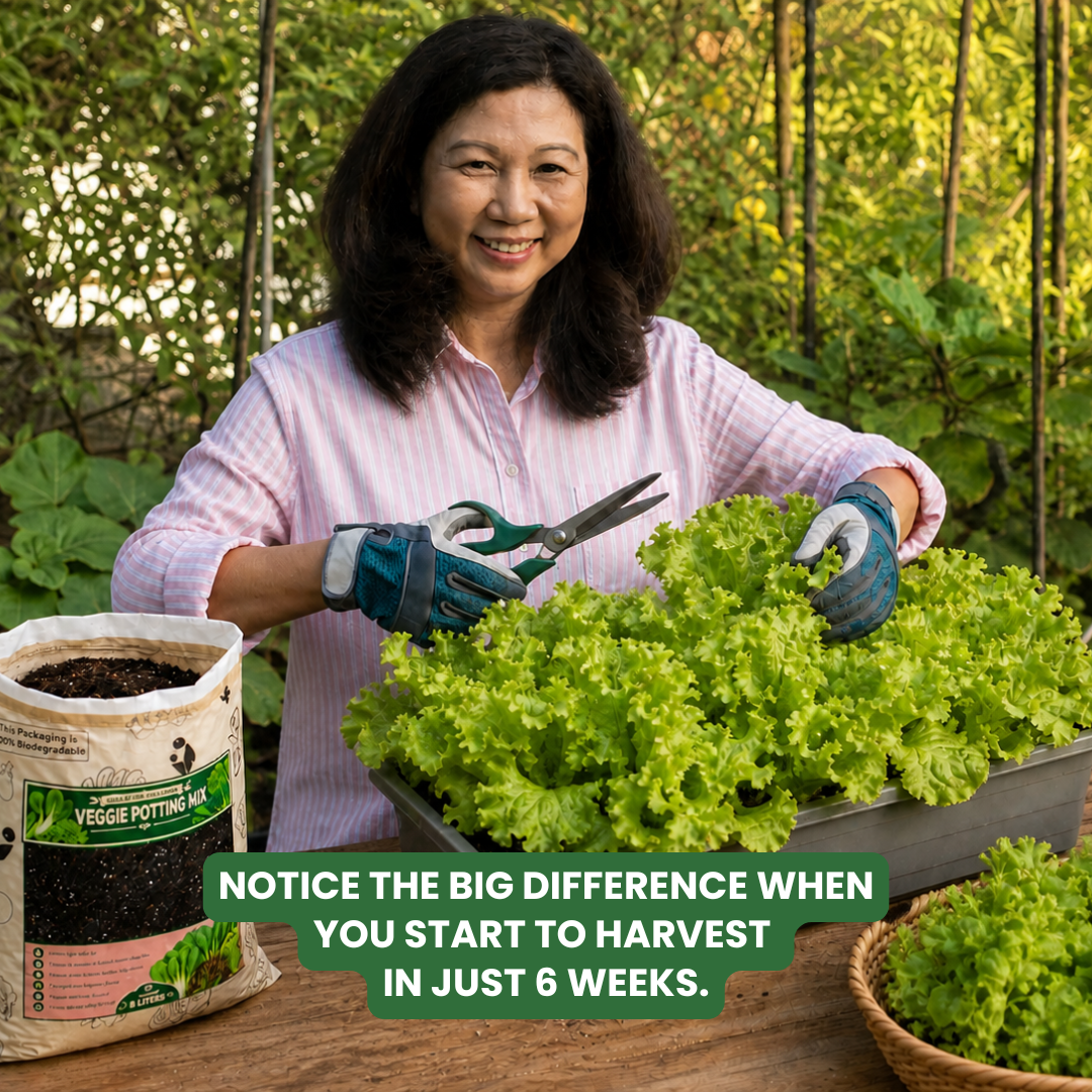8L Veggie Soilless Potting Mix| For Leafy Greens & Herbs, Light Airy Grow Medium, Moisture Retentive, pH Balanced, Infused with Beneficial Microbes for Lettuce, Basil, Pechay, Kangkong & Home Gardening