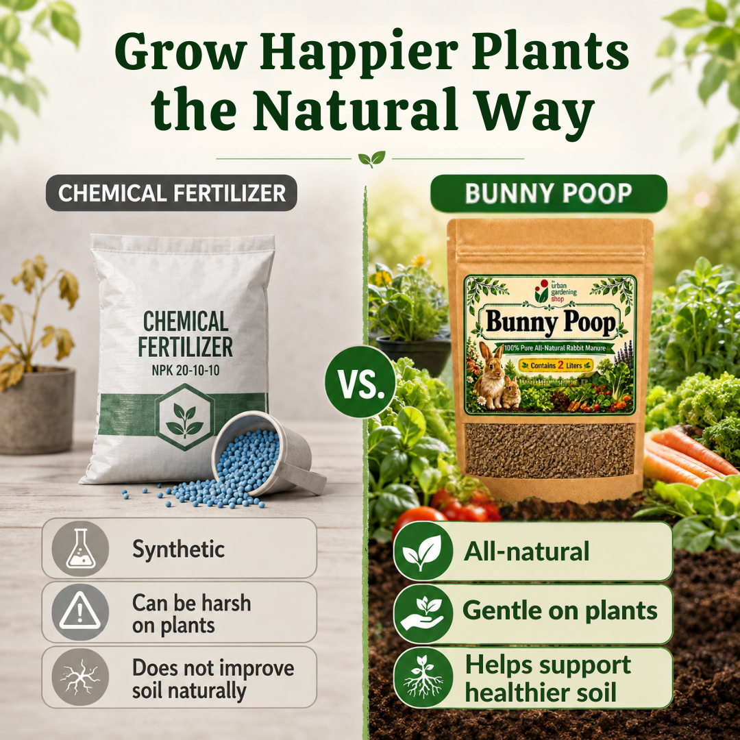 Bunny Poop Dried Rabbit Manure 2L | All Natural  Chemical Free Non Toxic Soil Amendment and Organic Plant Nutrient for All Types of Plants including Herbs, Vegetables, Ornamental Plants, Succulents and Tropical Houseplants