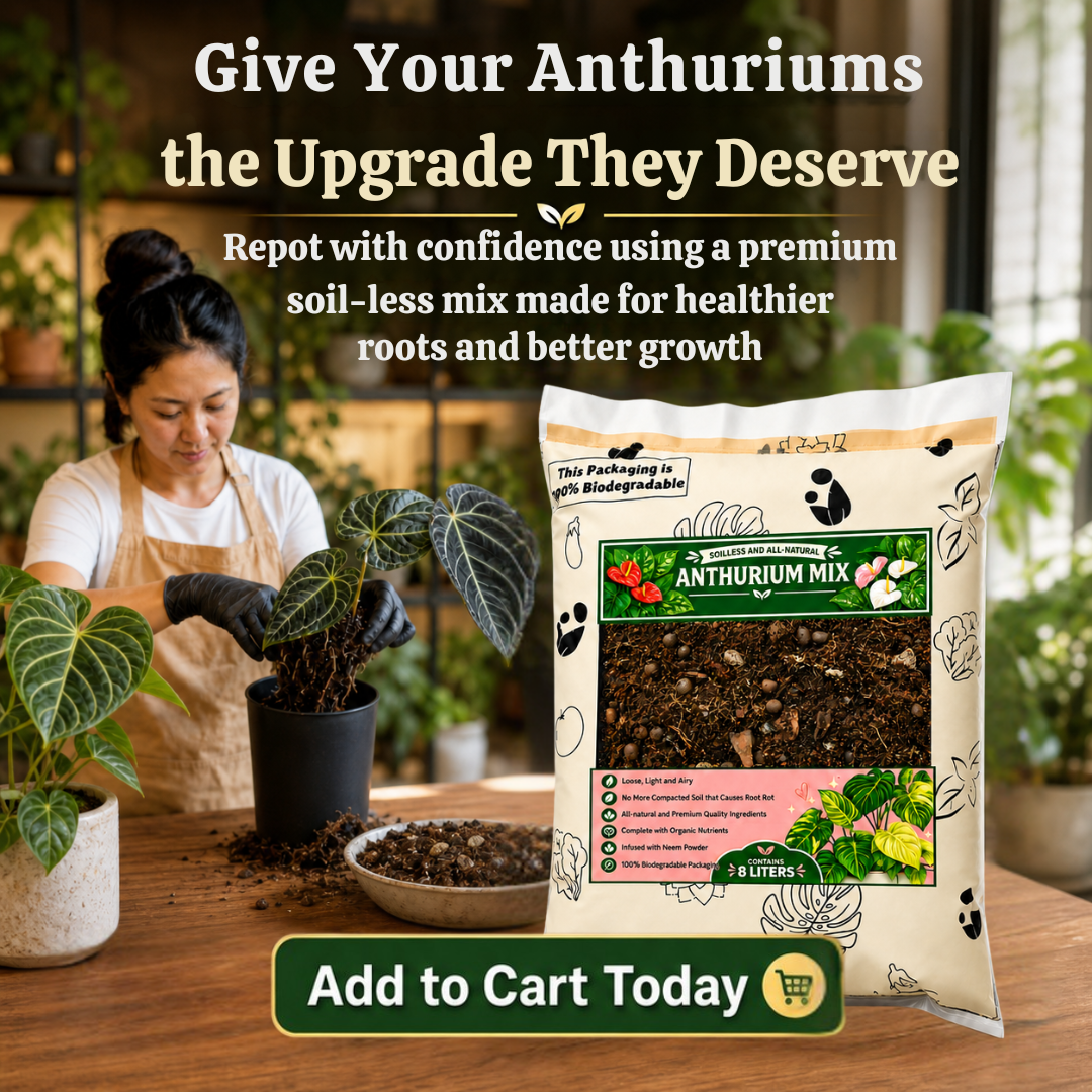 Anthurium Soilless Potting Mix 8L | Premium Airy Chunky Well Draining Growing Media with Peat Moss, Coco Chunks, Pine Bark, Perlite, Pumice, Neem and Beneficial Microbes| Soilless Media for Anthurium, Aroids & Houseplants