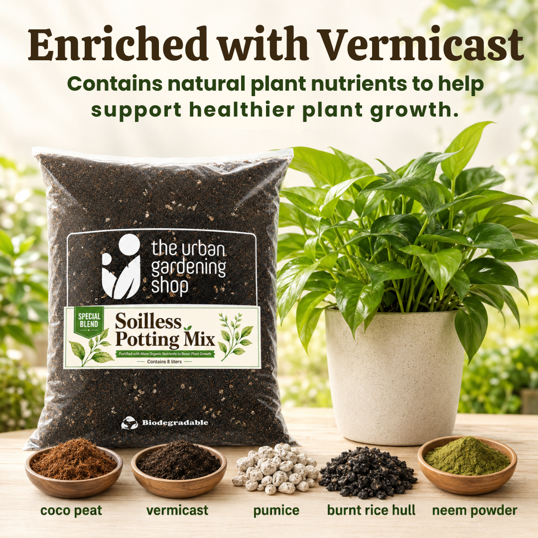 All-Purpose Soilless Potting Mix [Fortified Premium Mix]