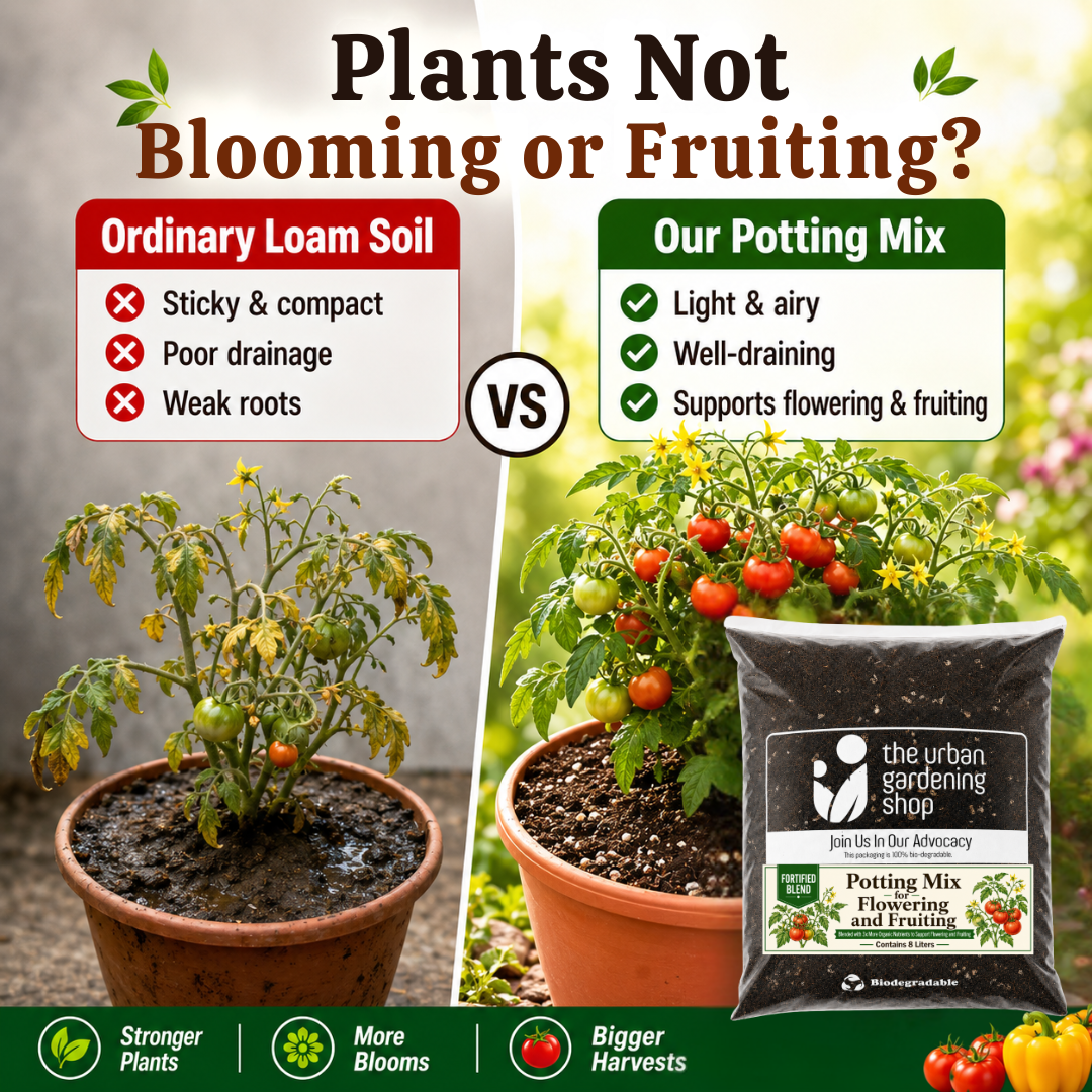 Soilless Potting Mix [Fortified Mix] For Flowering and Fruiting