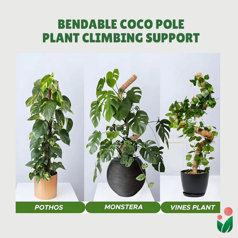 Premium 48" Bendable Coco Poles For Plant Support