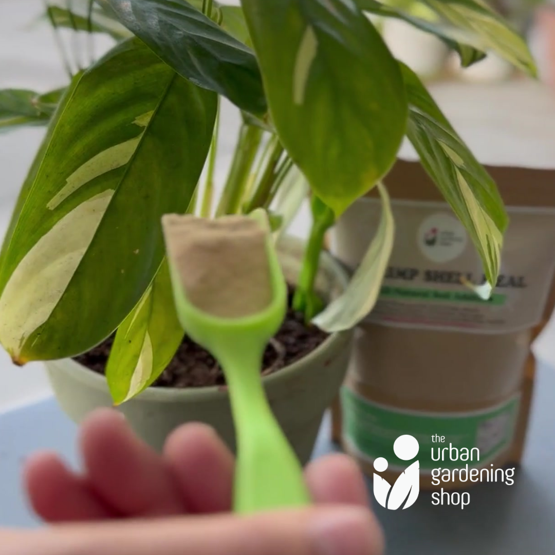 Shrimp Shell Meal - Derived from Ground Shrimp Shells (Contains Rich Organic Nutrients for Plants)