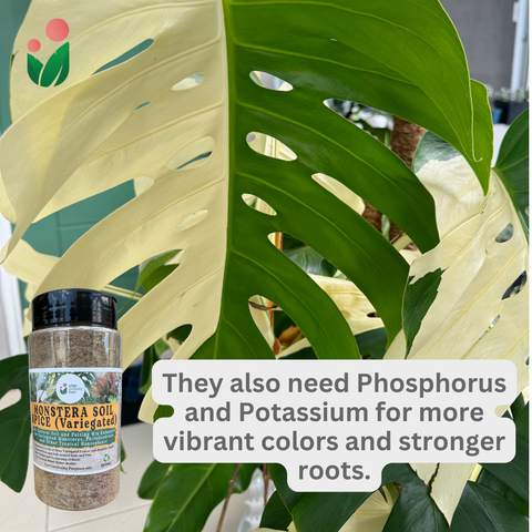 Monstera Soil Spice - All Natural Soil Additive and Plant Food for Monstera, Philodendron and other Tropical Houseplants