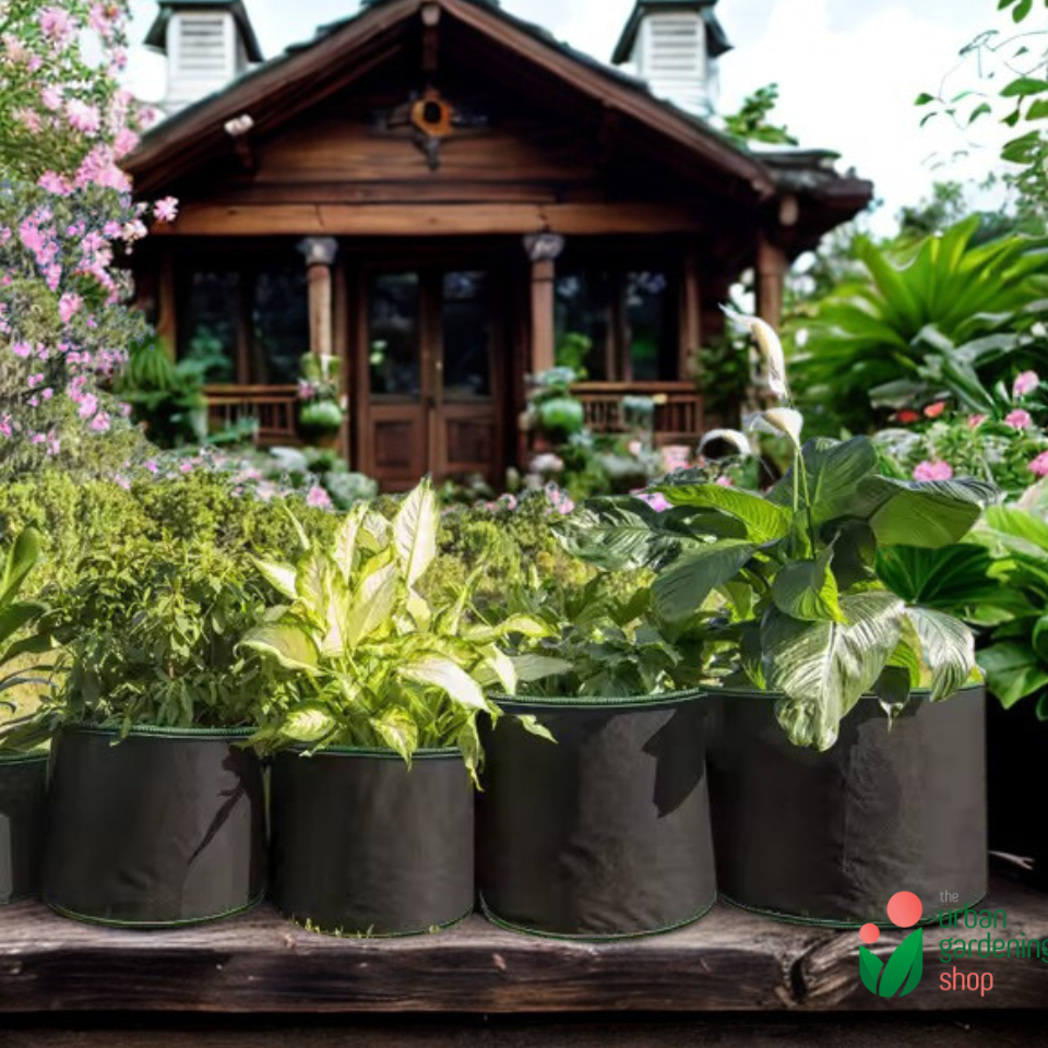 Non-Woven Fabric Container Gardening Pot
