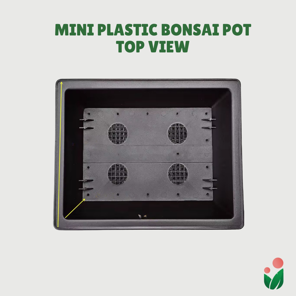 Rectangular Bonsai Pot with Catch Plate (Plastic)