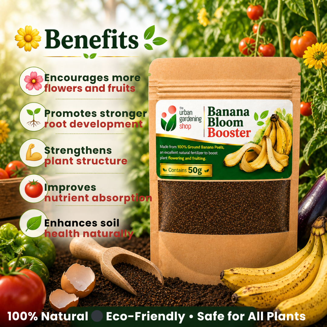 Ground Banana Peel Powder [Banana Bloom Booster + Banana Calcium Duo]  - An All- Natural Alternative to Chemical Fertilizer | A Natural Plant Booster - to Aid Plants in Flowering and Fruiting and for Root Strength 🌱
