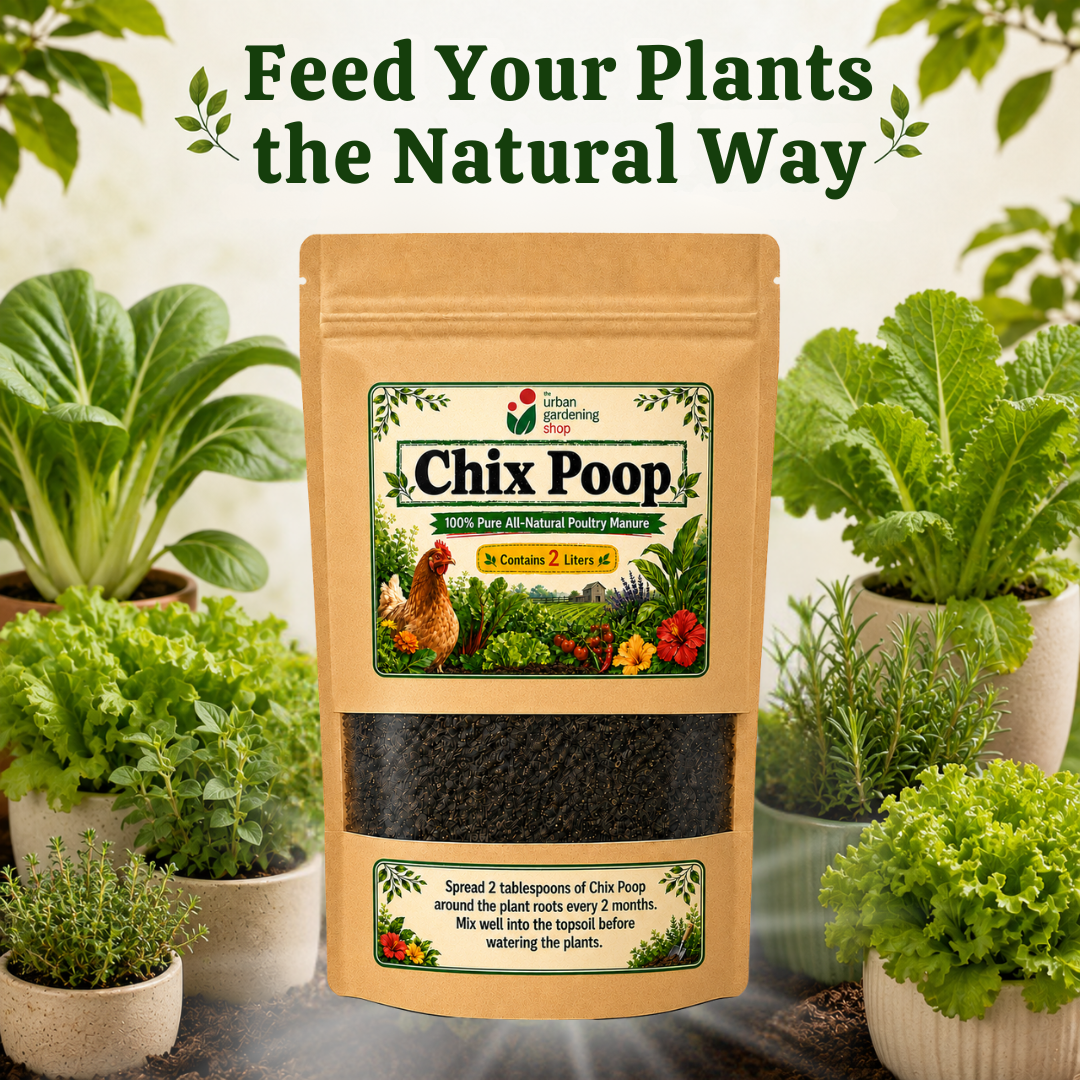 2L Chix Poop Composted Chicken Manure | Organic Plant Nutrient NPK Booster | All Natural Poultry Manure Soil and Potting Mix Conditioner for Plants, Vegetables, Herbs & Gardens | Eco-friendly Alternative to Chemical Fertilizers