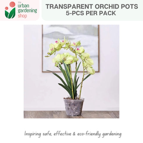 Transparent Orchid Pot - Quality Pots to Promote Root Air Circulation