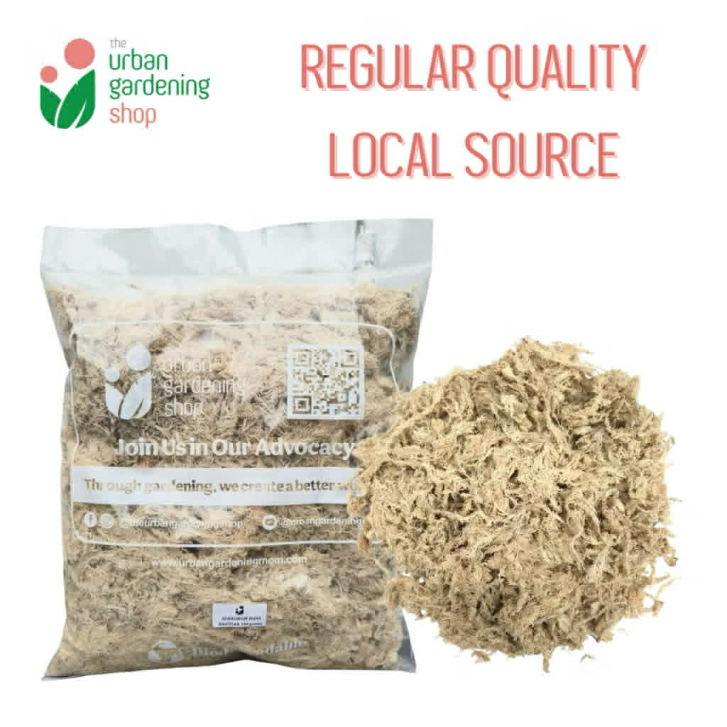 SPHAGNUM MOSS - High Quality Moss - Best for Orchids and Pet Bedding