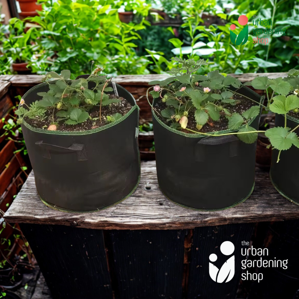 Non-Woven Fabric Container Gardening Pot