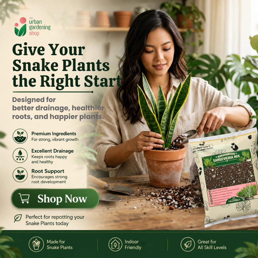 8L Sansevieria Potting Mix | Snake Plant Soil-Less Gritty Mix | Fast-D   Urban Gardening Mom