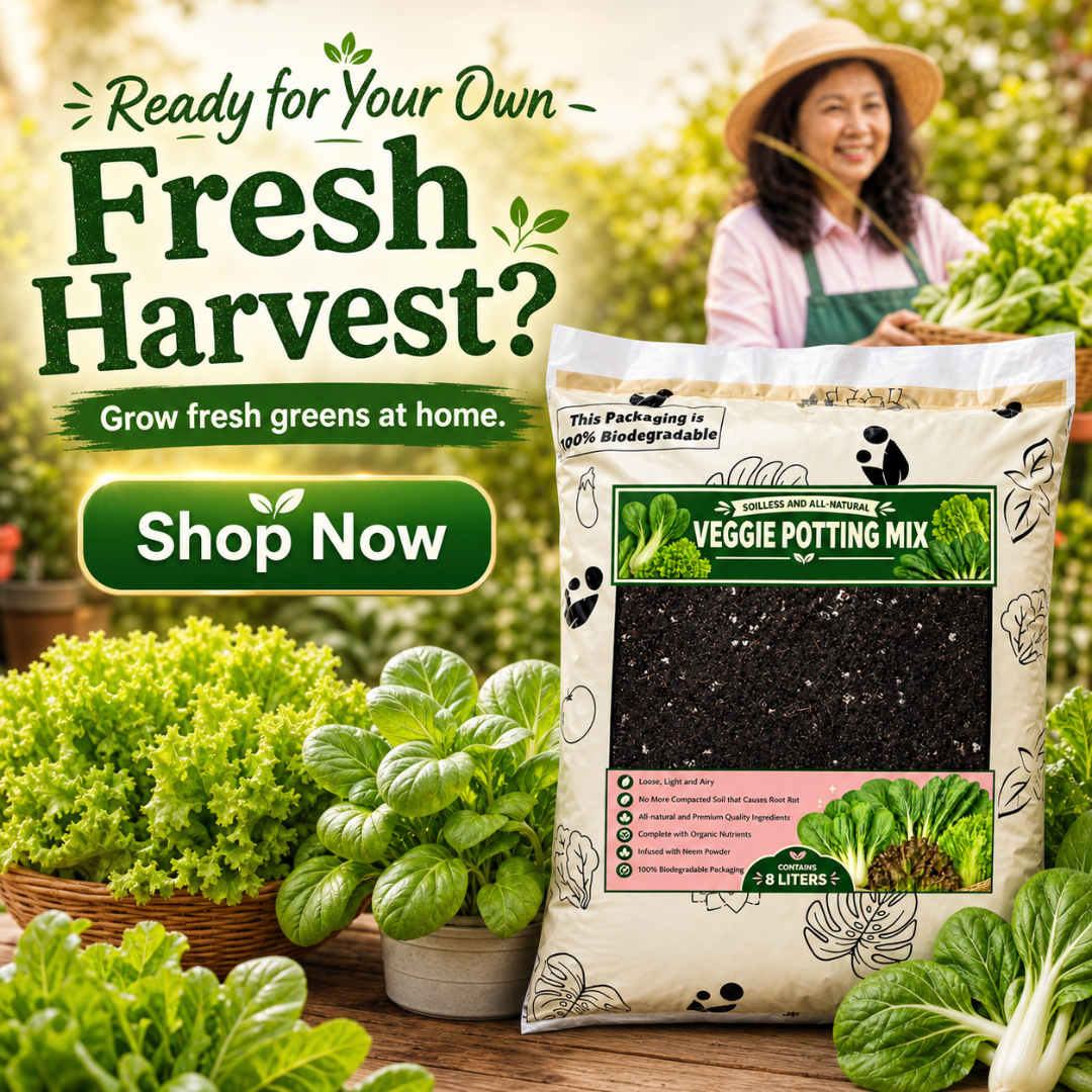 8L Veggie Soilless Potting Mix| For Leafy Greens & Herbs, Light Airy Grow Medium, Moisture Retentive, pH Balanced, Infused with Beneficial Microbes for Lettuce, Basil, Pechay, Kangkong & Home Gardening
