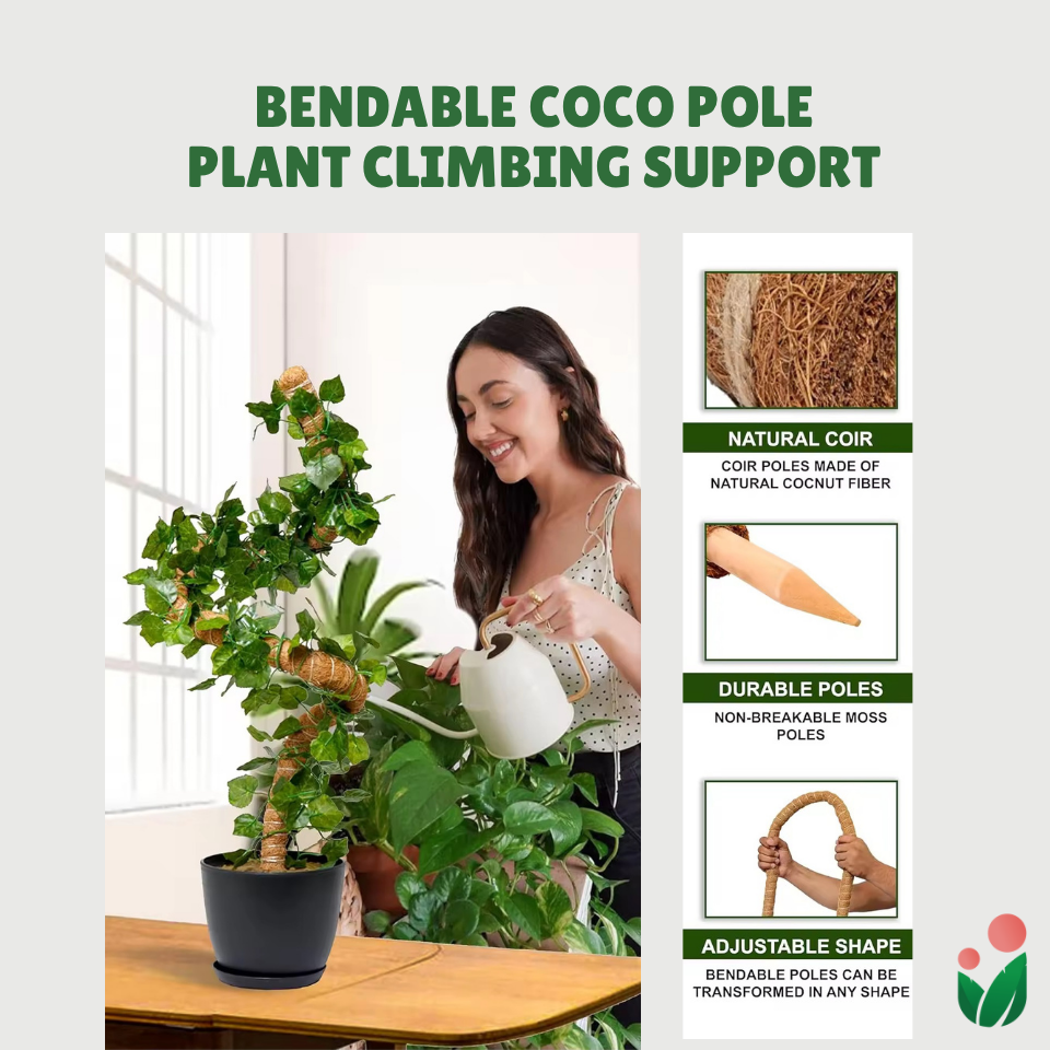 Premium 48" Bendable Coco Poles For Plant Support