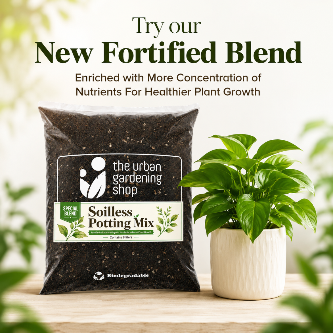 All-Purpose Soilless Potting Mix [Fortified Premium Mix]