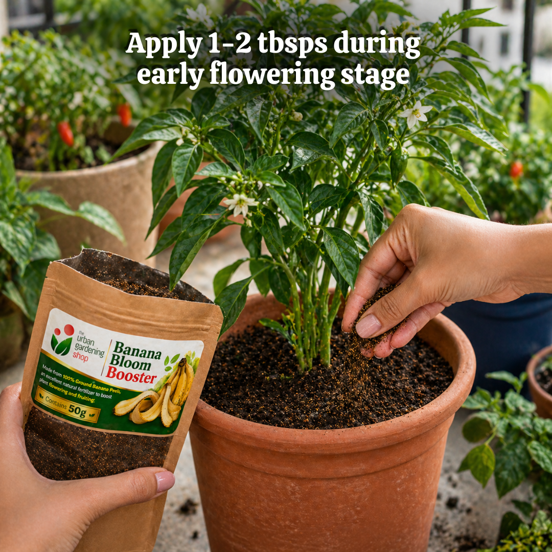 Ground Banana Peel Powder [Banana Bloom Booster + Banana Calcium Duo]  - An All- Natural Alternative to Chemical Fertilizer | A Natural Plant Booster - to Aid Plants in Flowering and Fruiting and for Root Strength 🌱