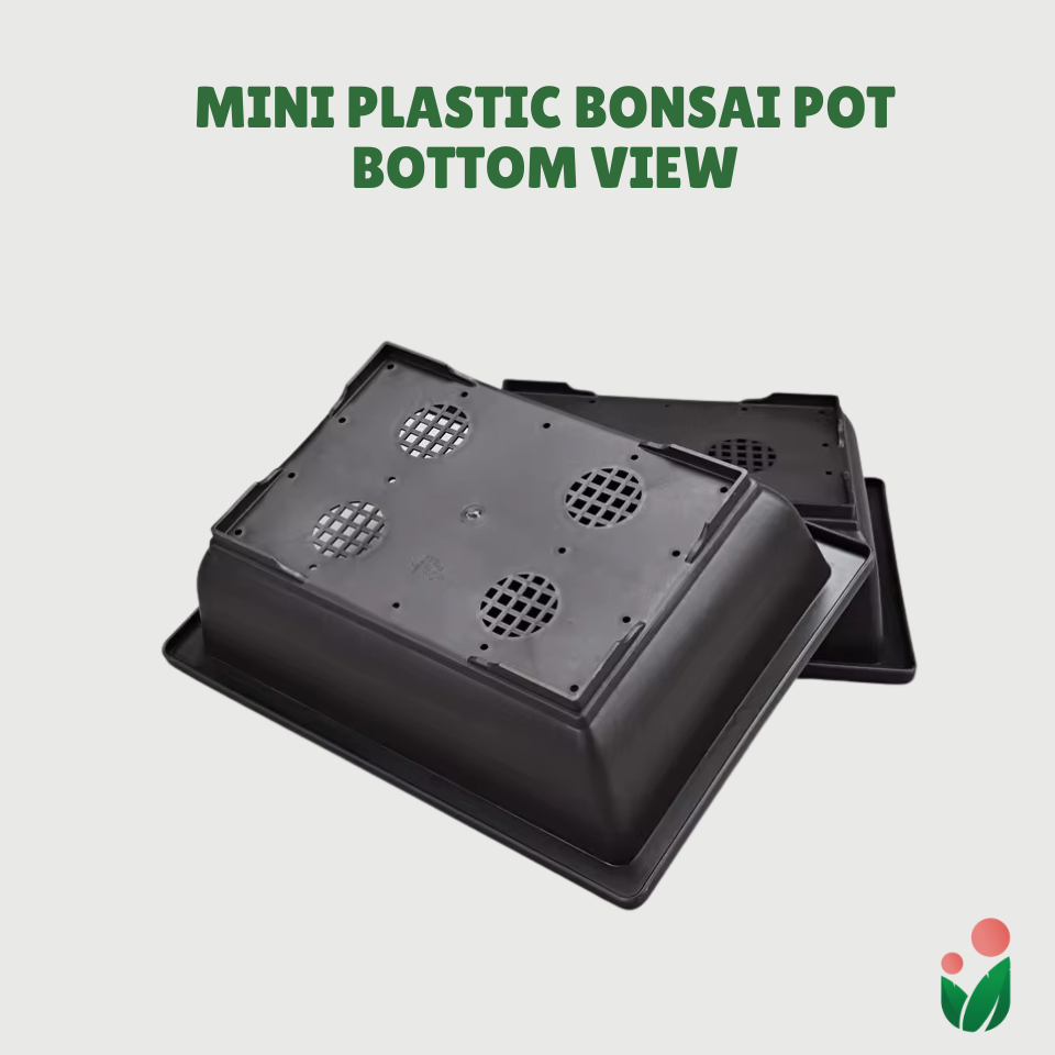 Rectangular Bonsai Pot with Catch Plate (Plastic)