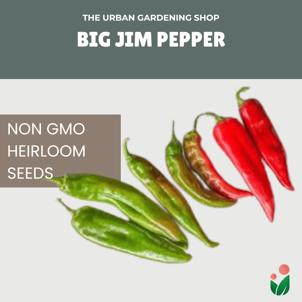 Premium Non-GMO Seeds - Big Jim Pepper