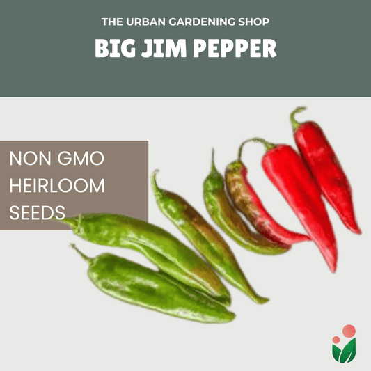 Premium Non-GMO Seeds - Big Jim Pepper