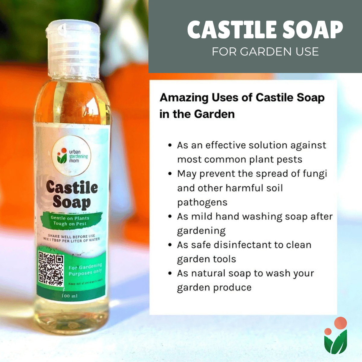 LIQUID CASTILE SOAP  Organic Pesticide, Safe, Environment-friendly and Non-toxic Pest Control for the Garden