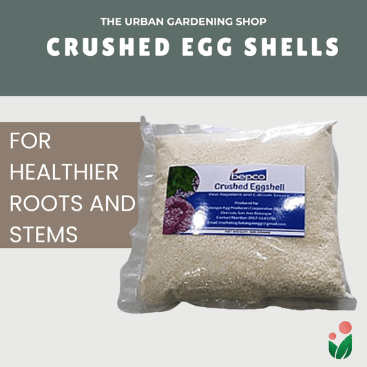 CRUSHED EGG SHELLS All-Natural Calcium-Rich Plant Nutrient