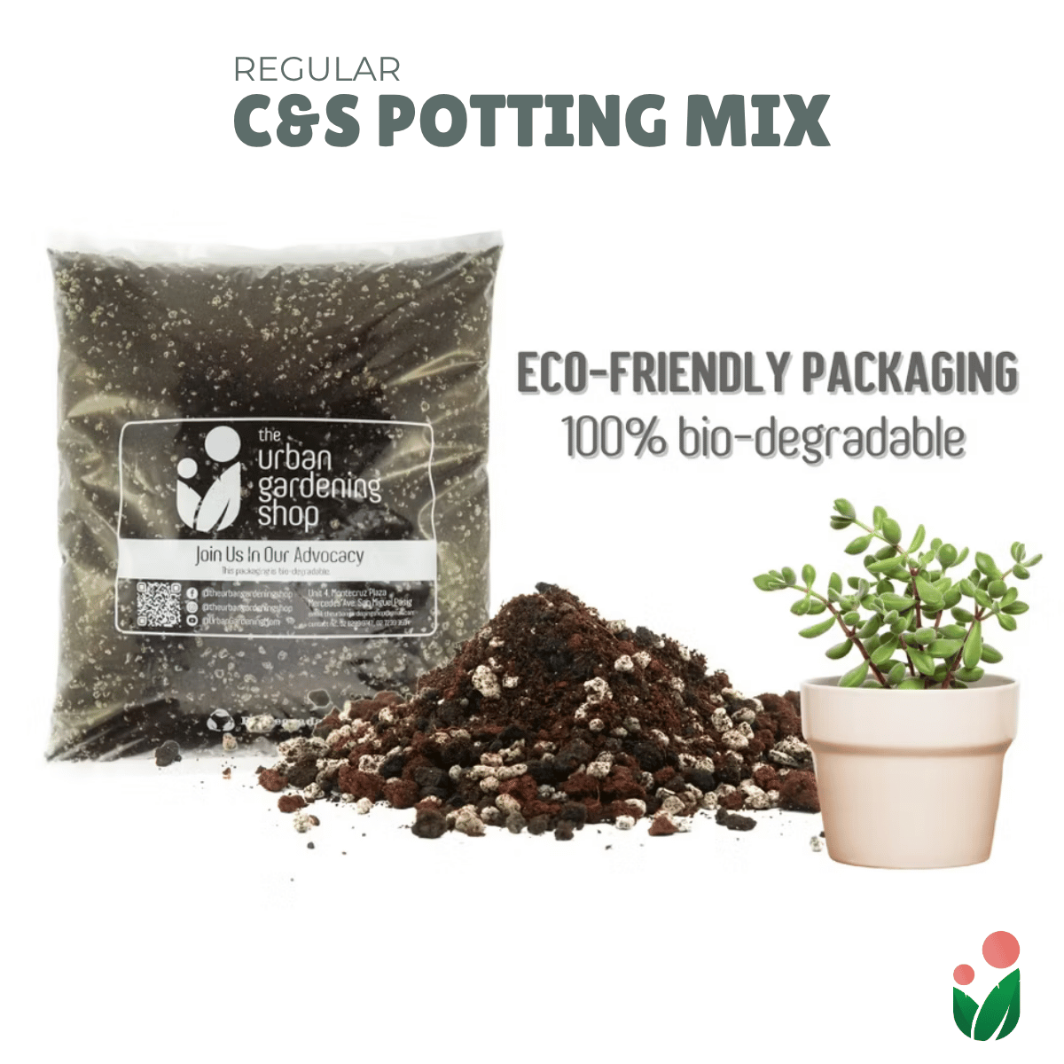 C&S SOIL-LESS POTTING MIX FOR SUCCULENTS Best Suited for Cactus and  Succulents – Urban Gardening Mom
