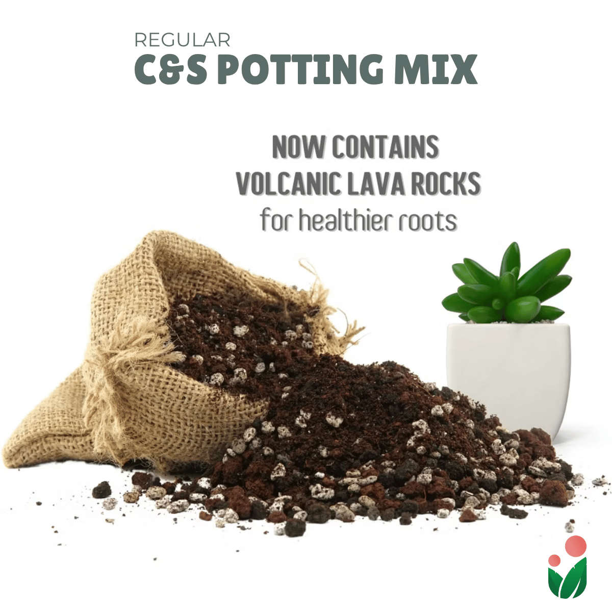 best cactus soil mix C&S SOIL-LESS POTTING MIX FOR SUCCULENTS Best Suited for Cactus and Succulents – Urban Gardening Mom